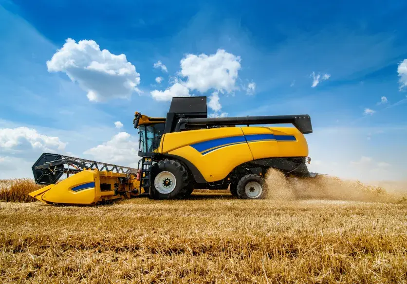 Agriculture Product 1