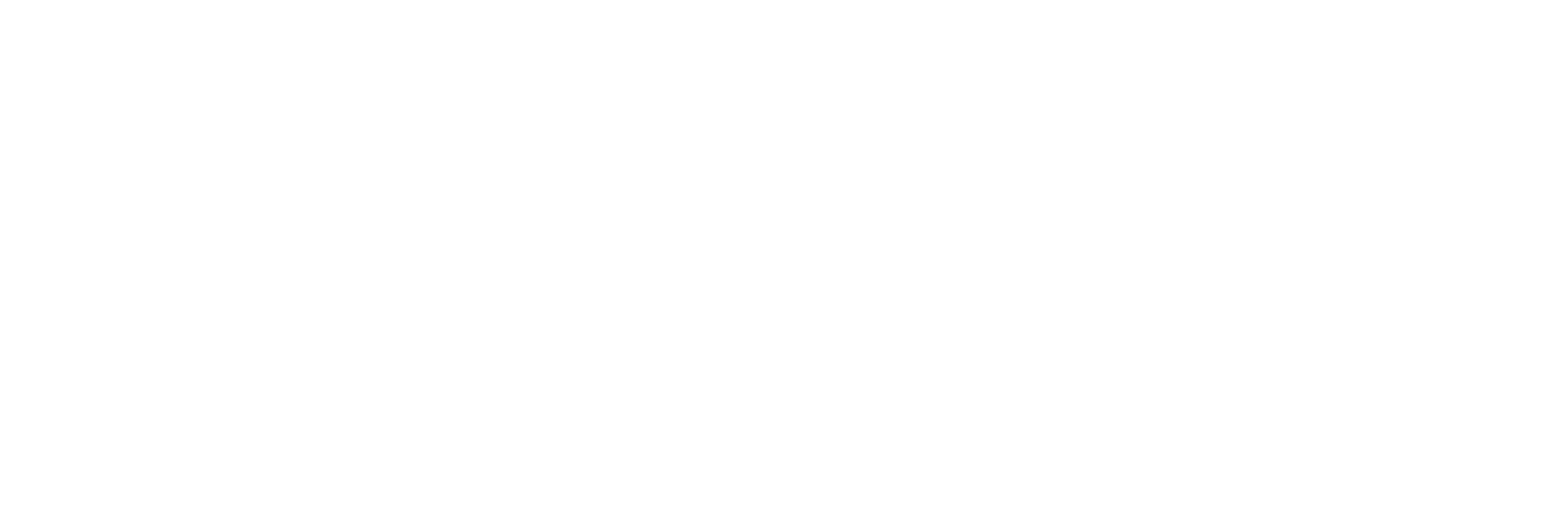 menzolit Logo